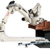 Cánh tay robot công nghiệp ST210TP