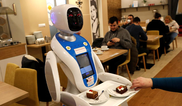 Robot đa chức năng được sử dụng trong các nhà hàng cao cấp/chuỗi F&B quy mô lớn
