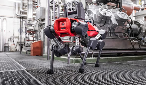 Robot hoạt động ổn định trong điều kiện mưa gió, nhiệt độ cao