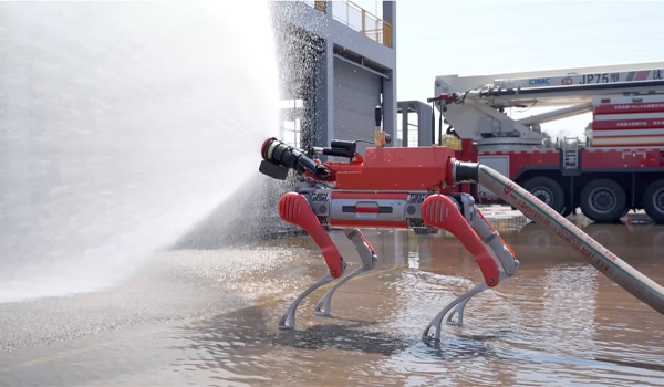 Robot chó là gì?