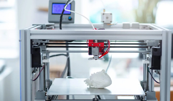 In sinh học được kỳ vọng sẽ giúp giải quyết bài toán thiếu hụt nguồn tạng hiến