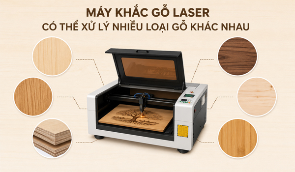 Máy khắc gỗ laser có thể xử lý nhiều loại gỗ khác nhau