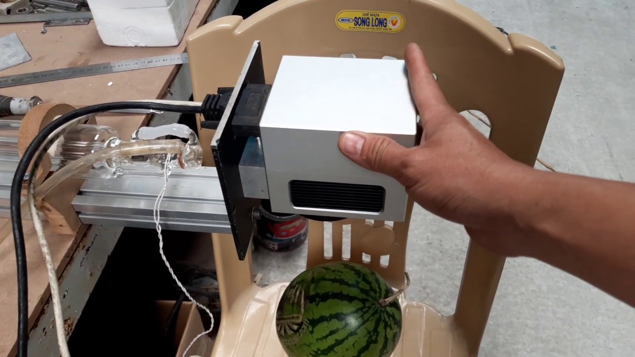 Máy khắc laser hoa quả mini